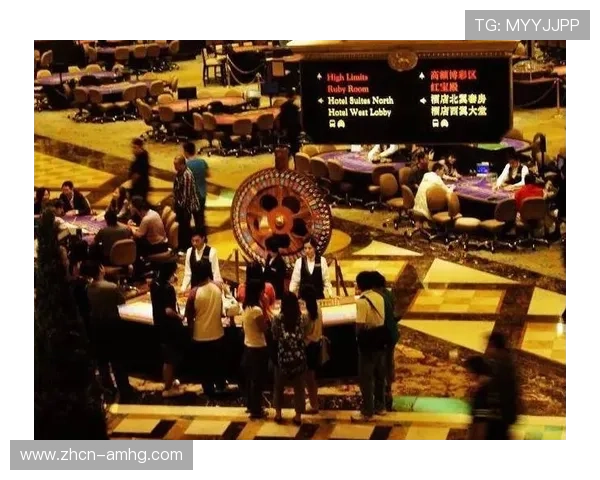 澳门新普京赌场丰富娱乐项目介绍，满足不同玩家的多样需求