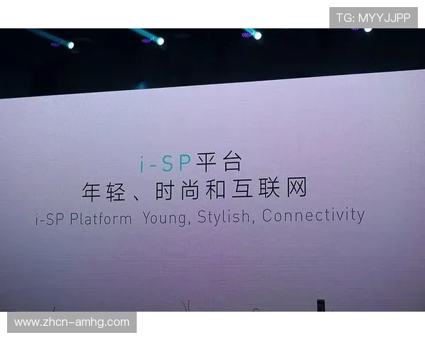 百盛娱乐城合作伙伴介绍,打造多元化娱乐生态圈满足不同客户需求
